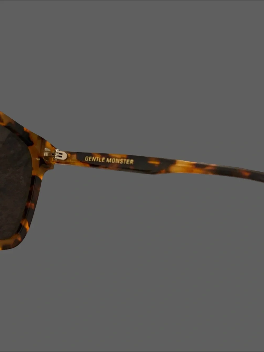 Gentle Monster Sal T1 Sunglasses Tortoise